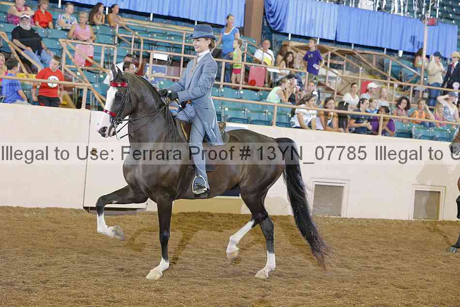 Proof 13yn_07785