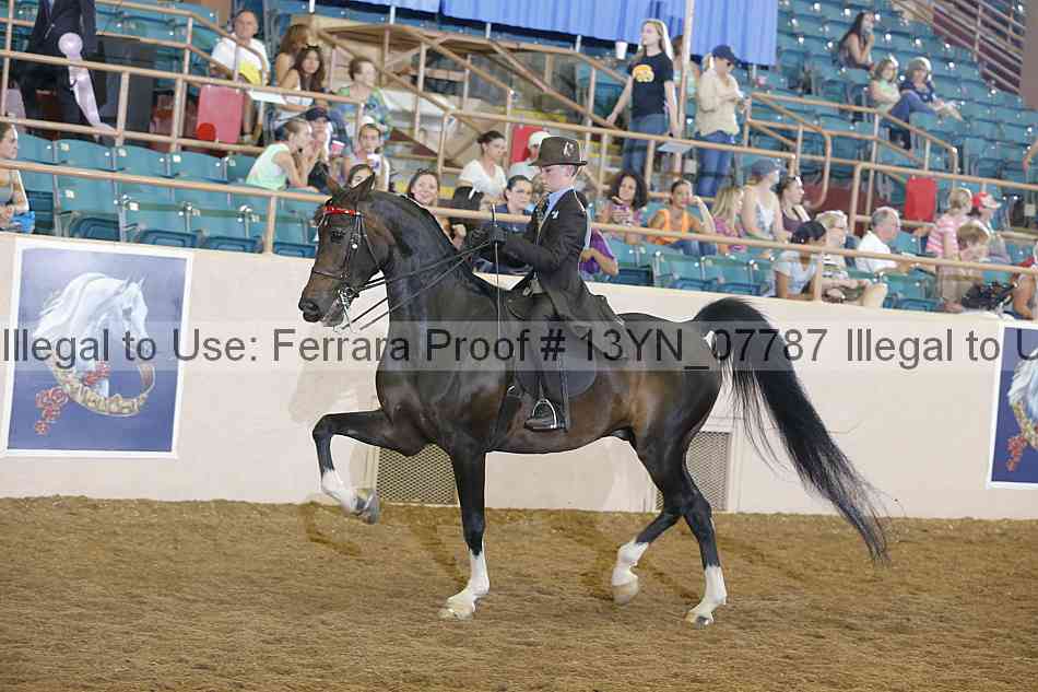 Proof 13yn_07787