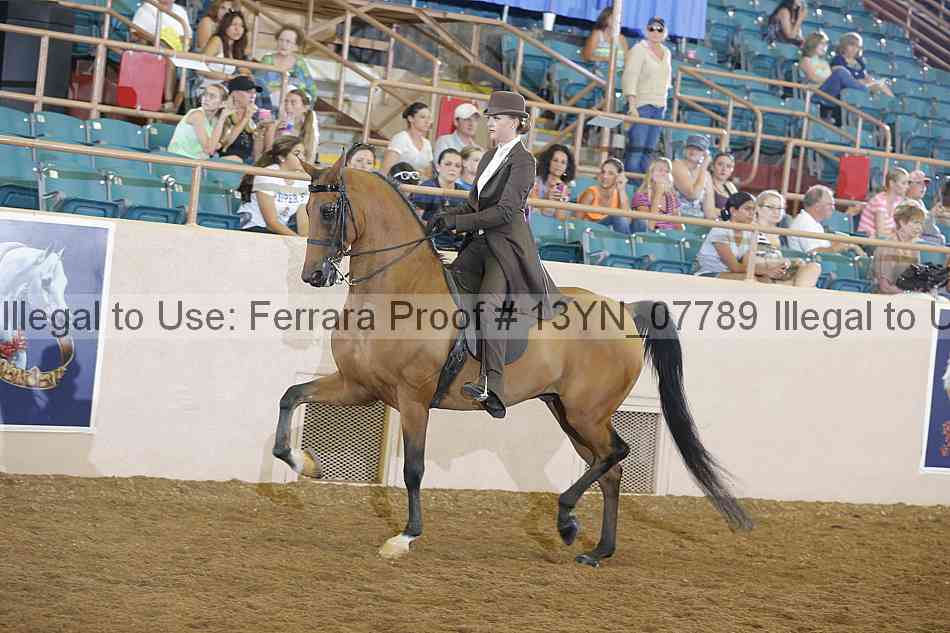 Proof 13yn_07789