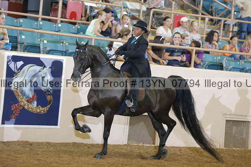 Proof 13yn_07794