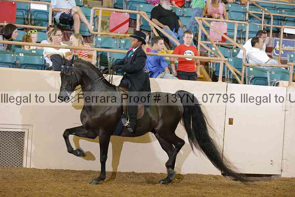 Proof 13yn_07795