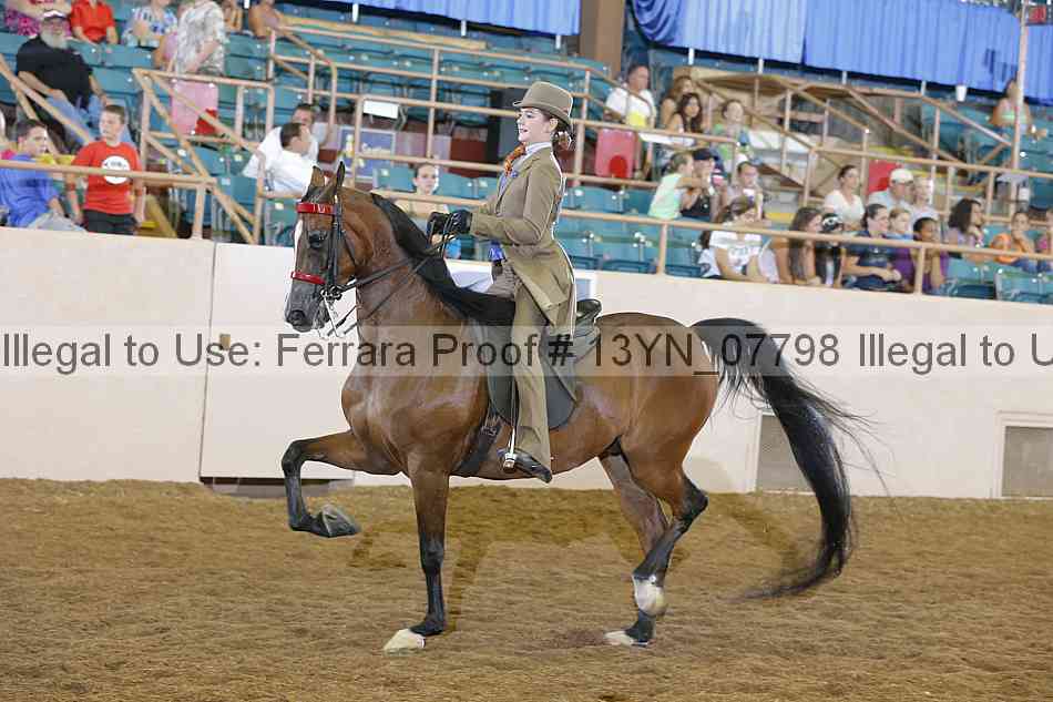 Proof 13yn_07798