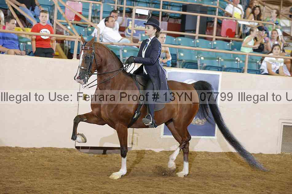 Proof 13yn_07799