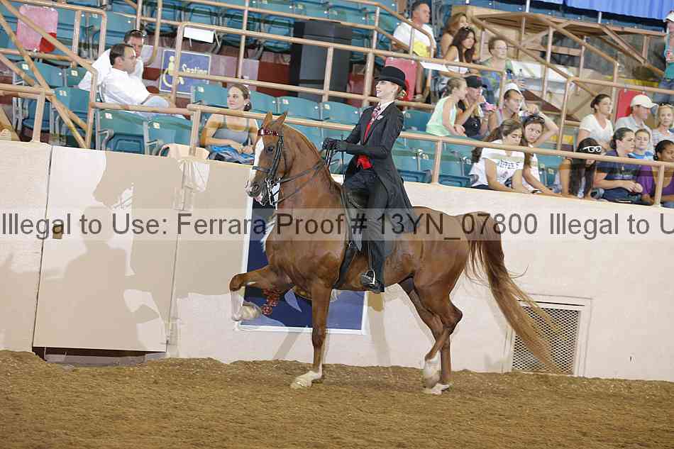 Proof 13yn_07800