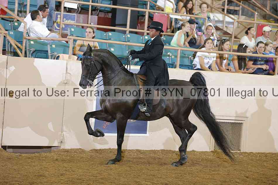 Proof 13yn_07801