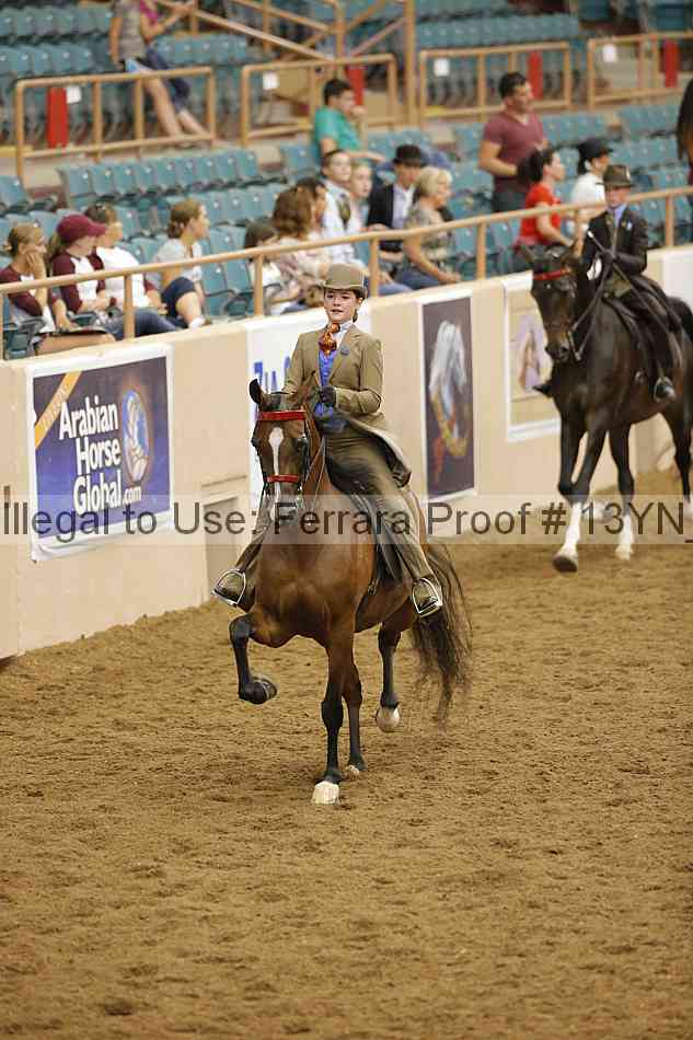 Proof 13yn_07803