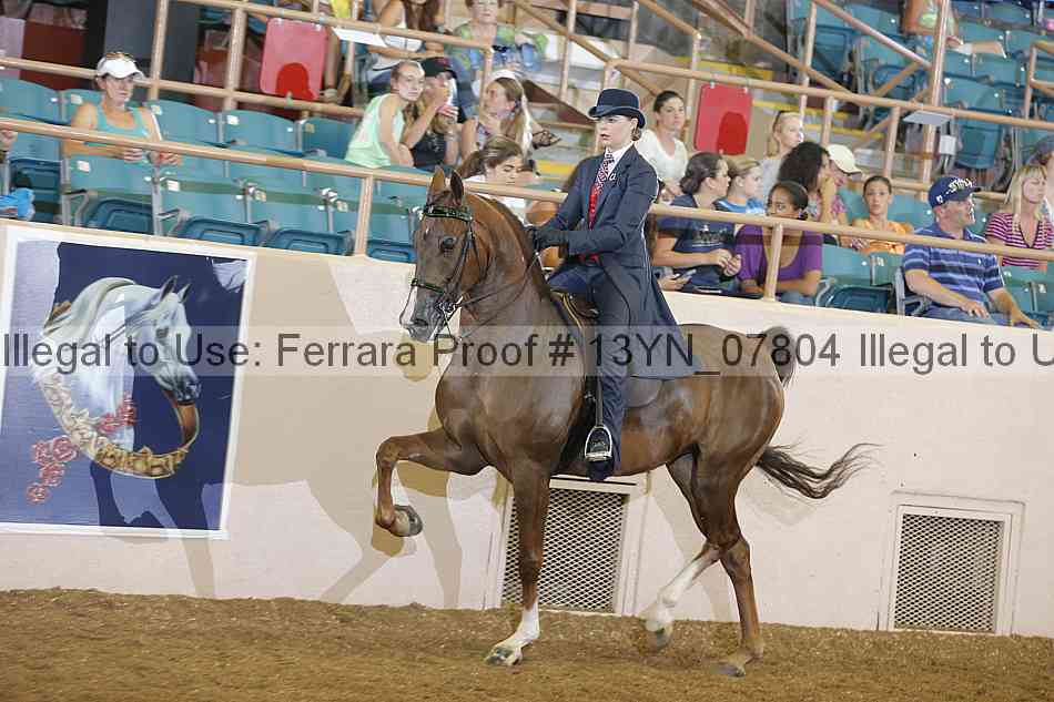 Proof 13yn_07804