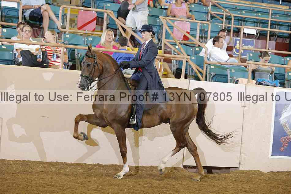 Proof 13yn_07805