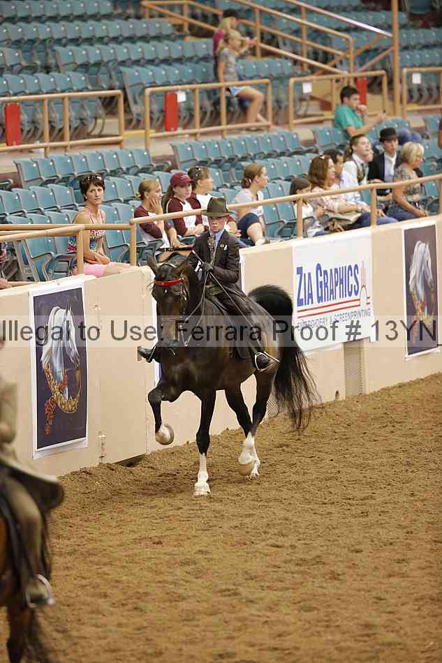 Proof 13yn_07806