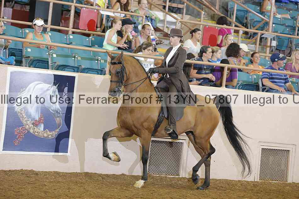 Proof 13yn_07807