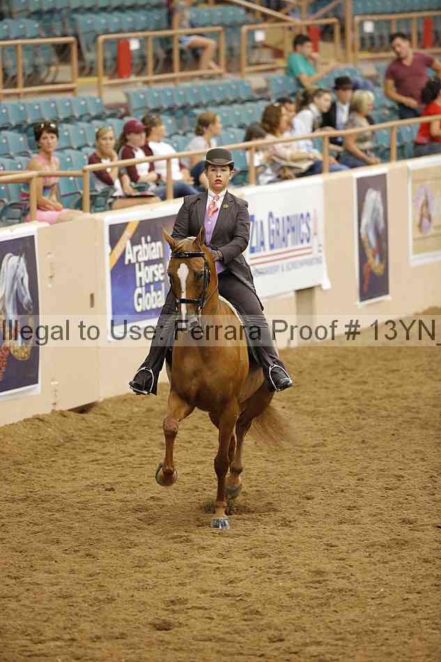 Proof 13yn_07808