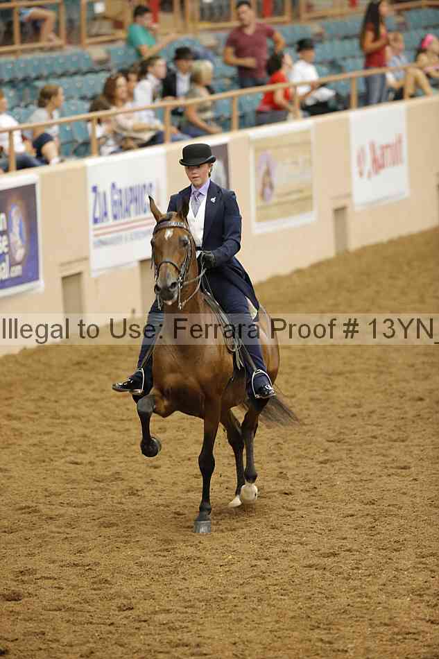 Proof 13yn_07809
