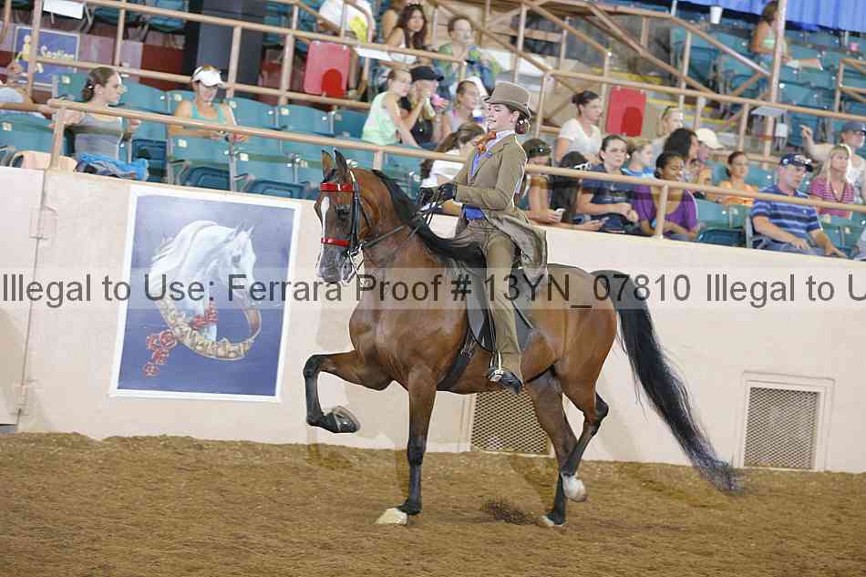 Proof 13yn_07810