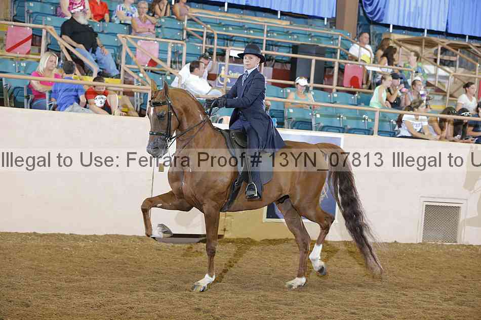 Proof 13yn_07813