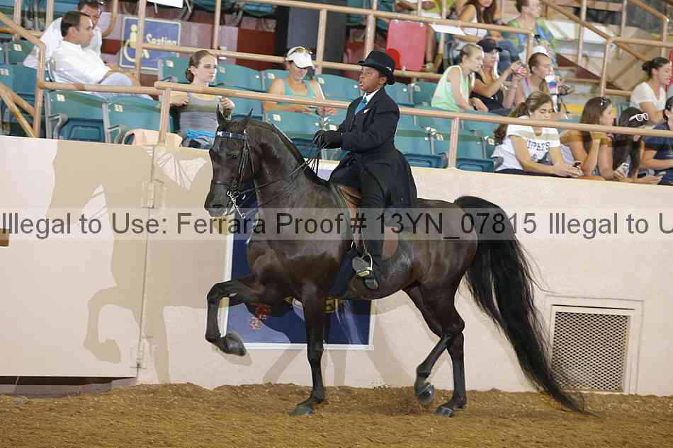 Proof 13yn_07815