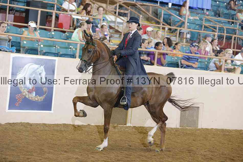 Proof 13yn_07816