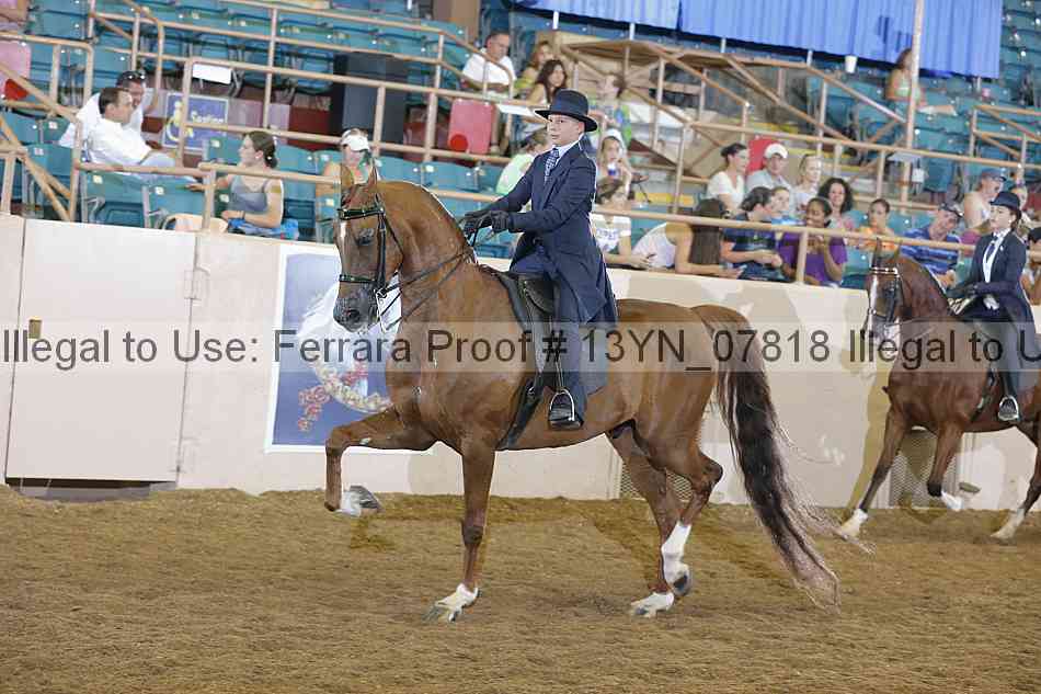 Proof 13yn_07818