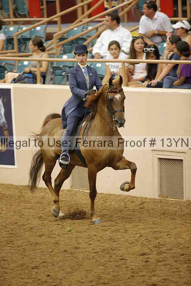Proof 13yn_07824