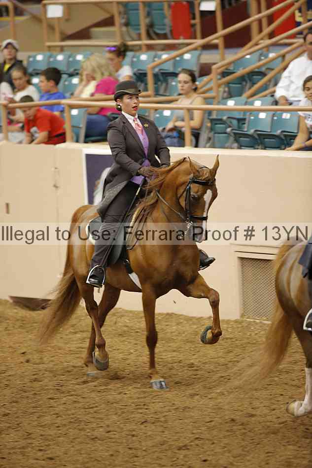 Proof 13yn_07828