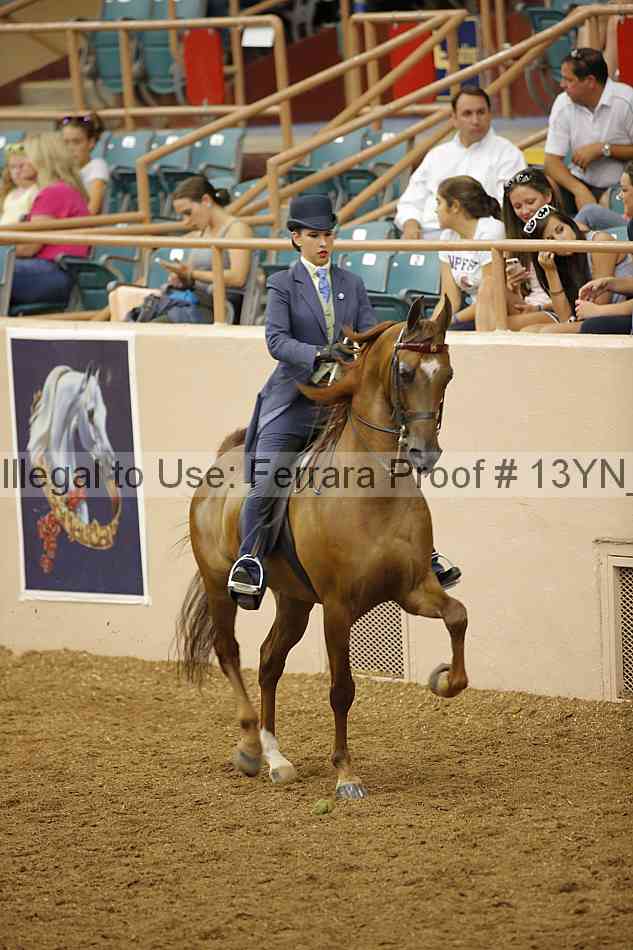 Proof 13yn_07829