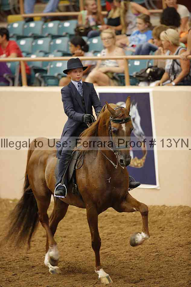 Proof 13yn_07831