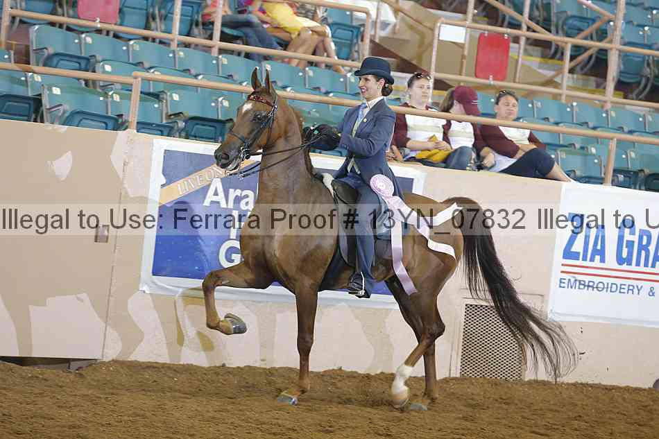 Proof 13yn_07832