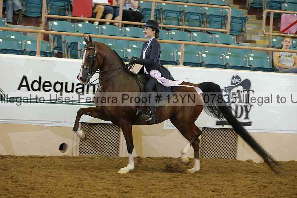 Proof 13yn_07835