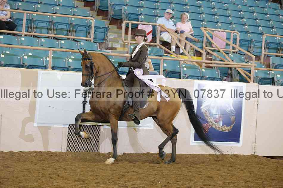Proof 13yn_07837