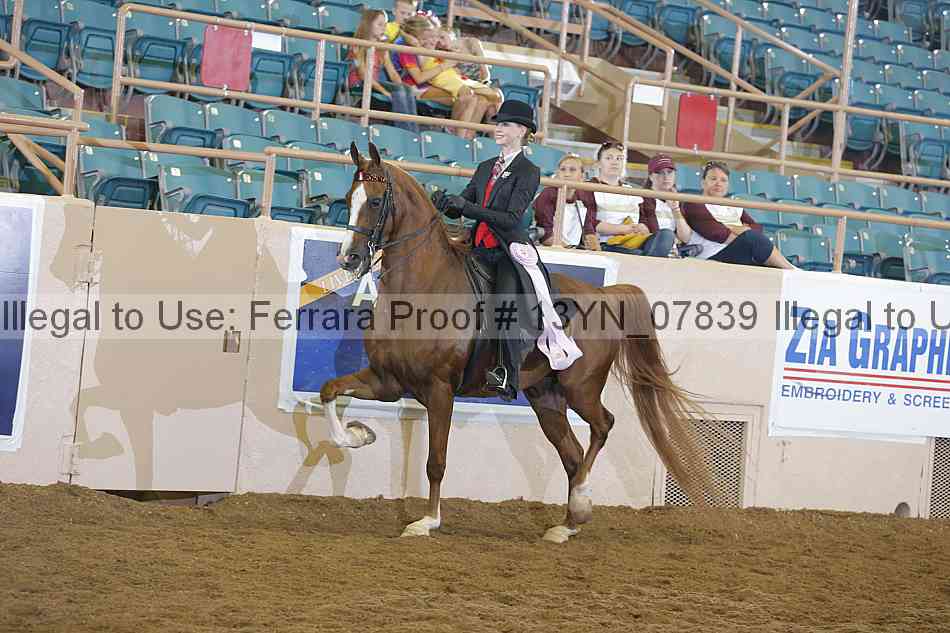 Proof 13yn_07839