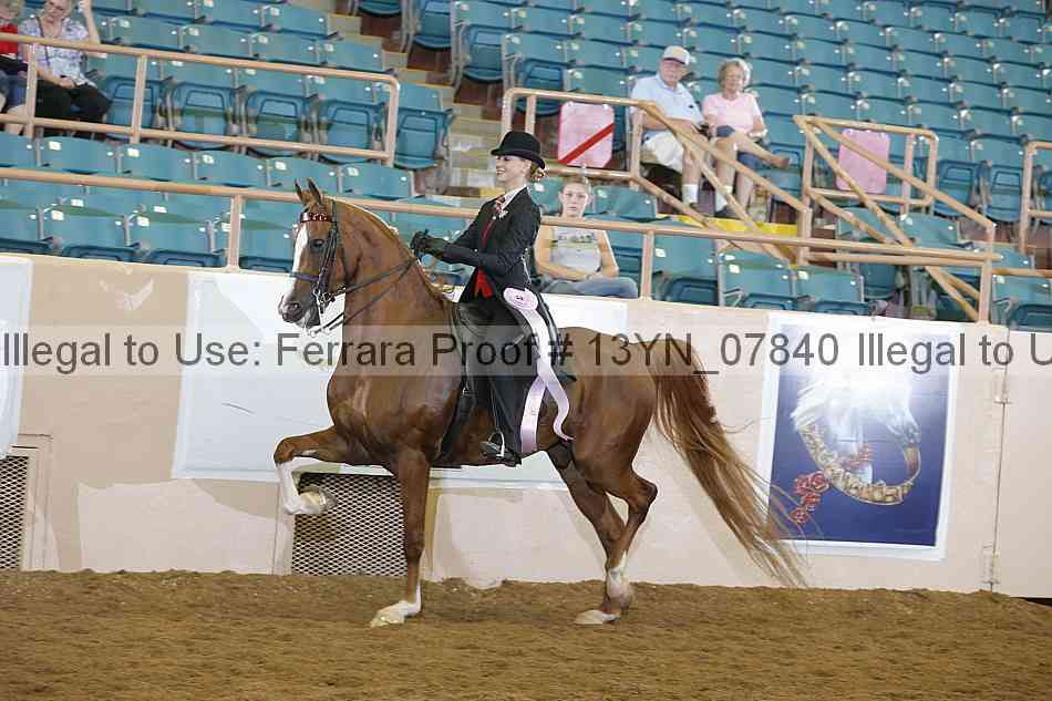 Proof 13yn_07840