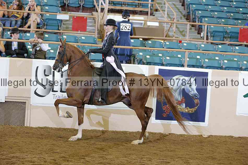 Proof 13yn_07841