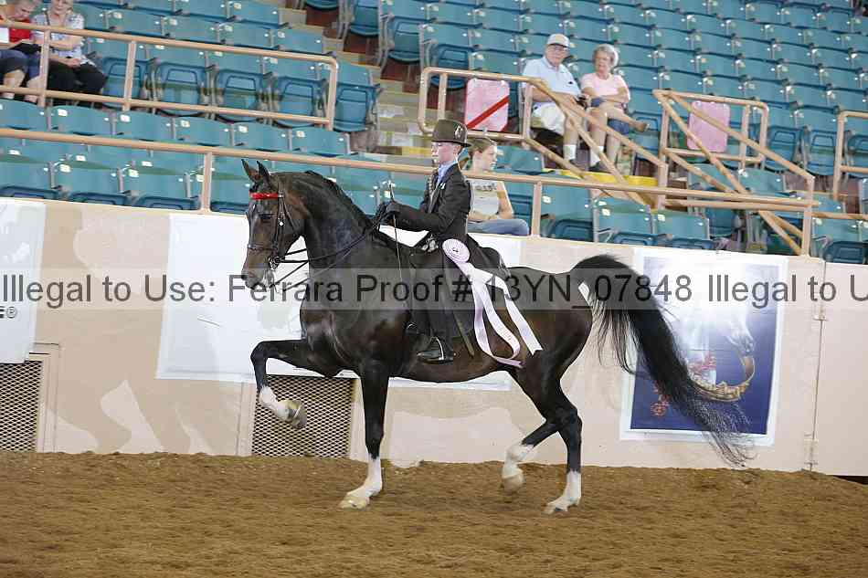 Proof 13yn_07848