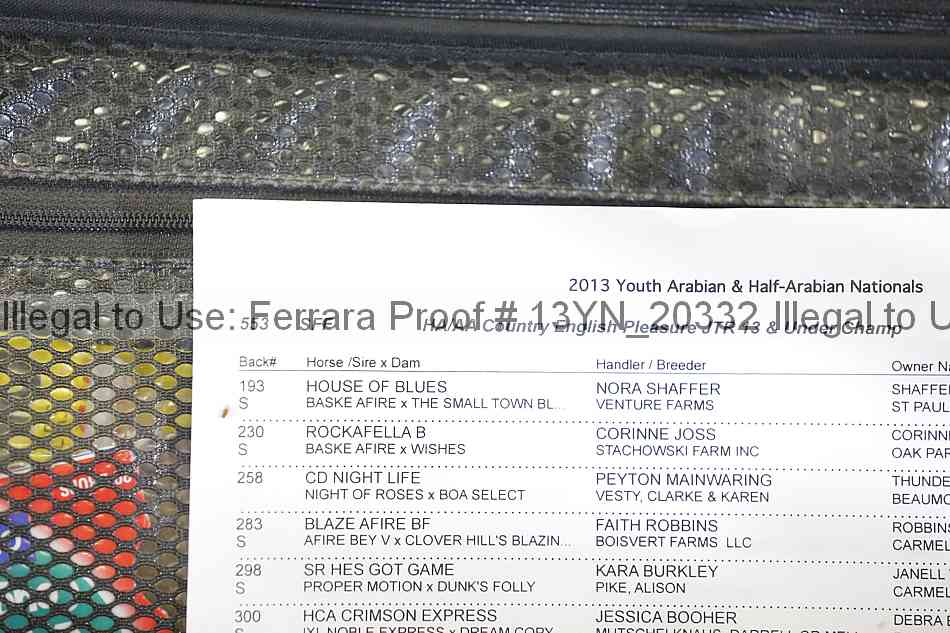 Proof 13yn_20332