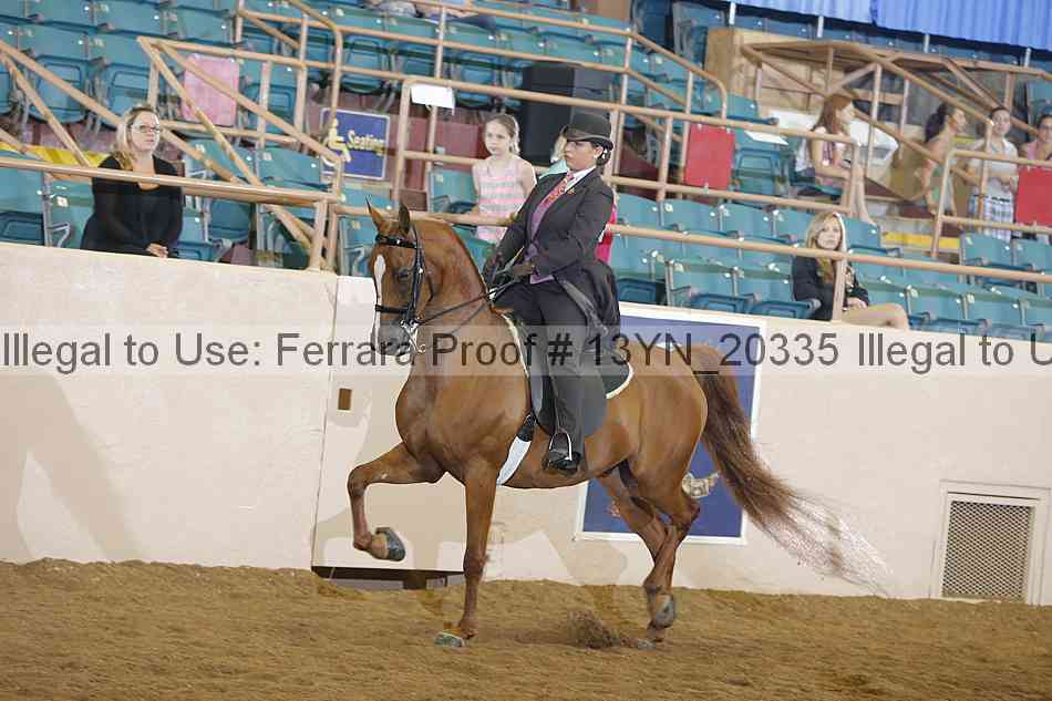Proof 13yn_20335