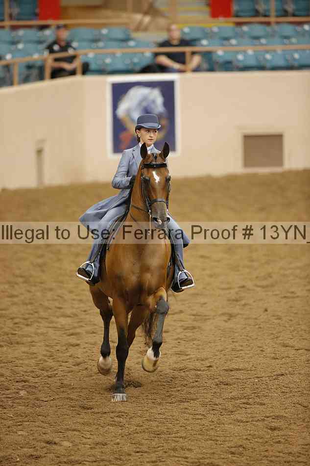 Proof 13yn_20341