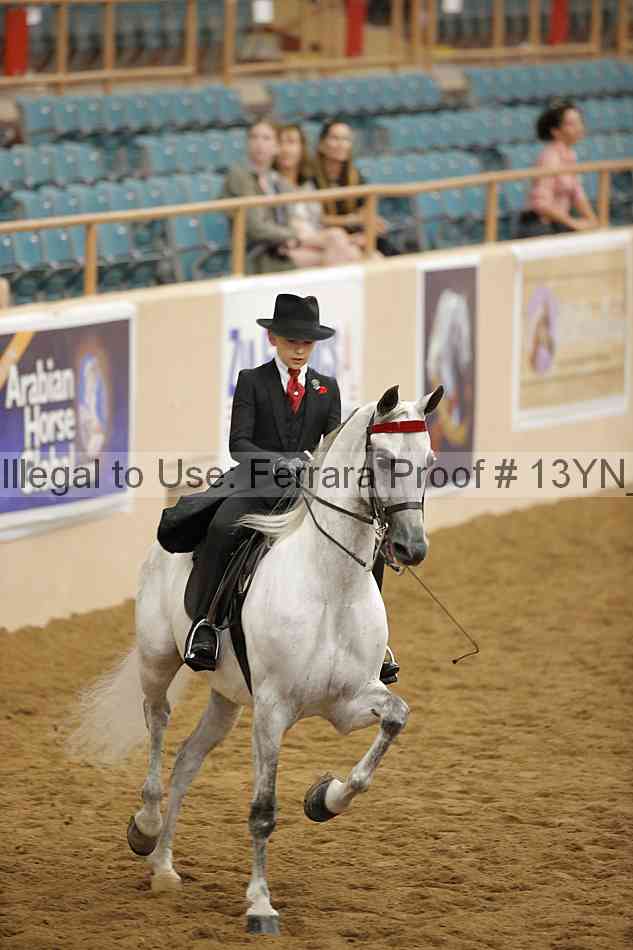 Proof 13yn_20354