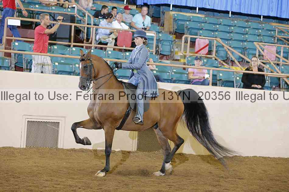 Proof 13yn_20356