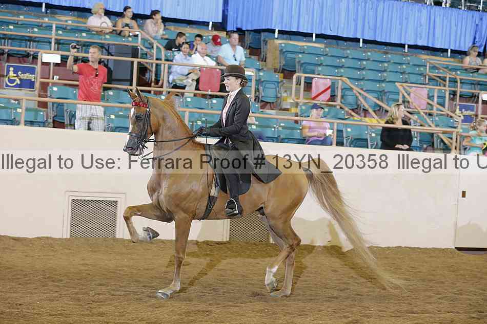 Proof 13yn_20358