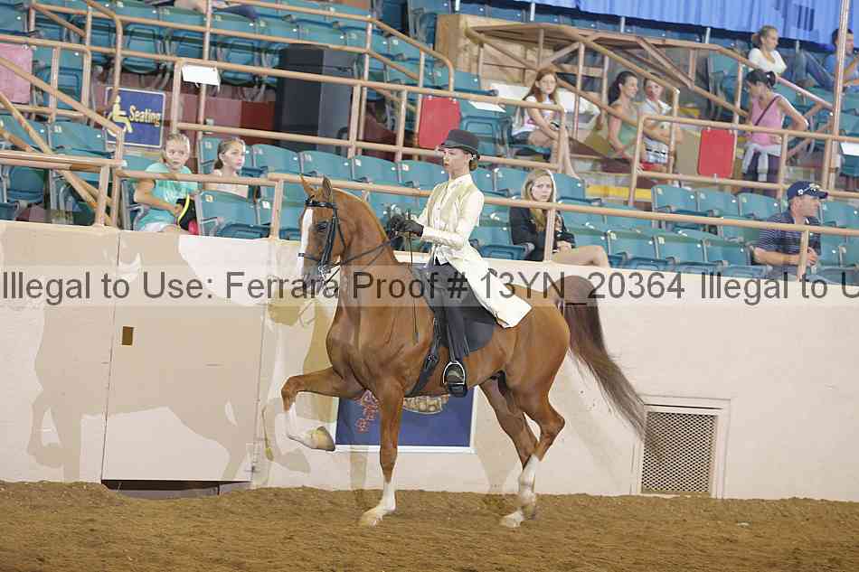 Proof 13yn_20364