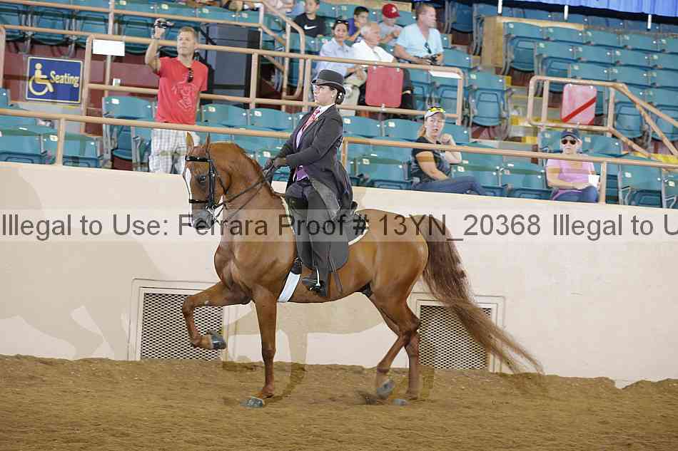 Proof 13yn_20368