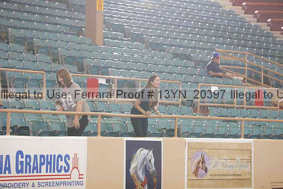 Proof 13yn_20397