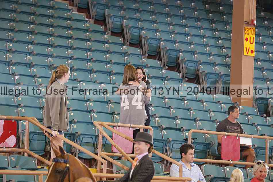 Proof 13yn_20401