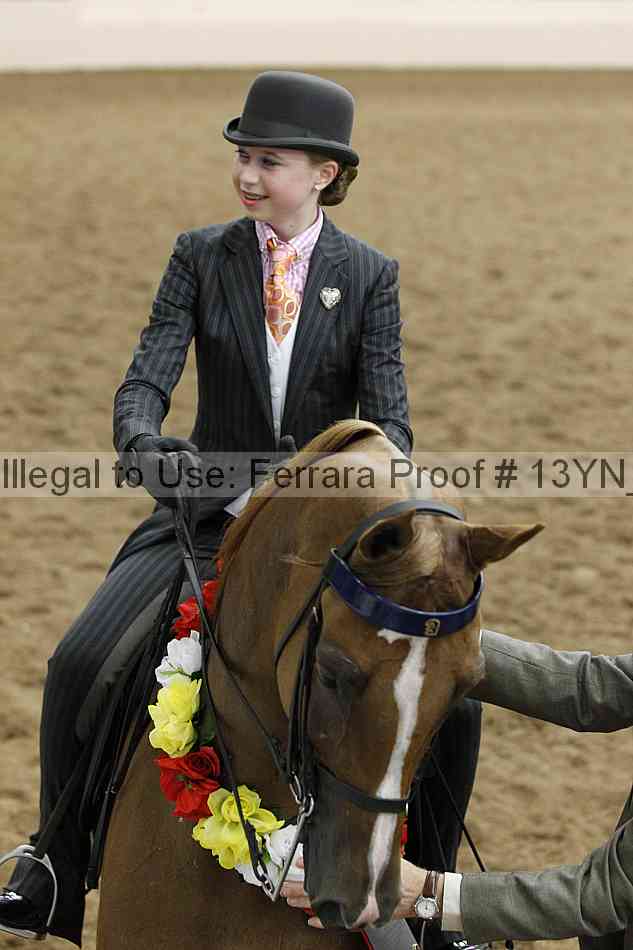 Proof 13yn_20405