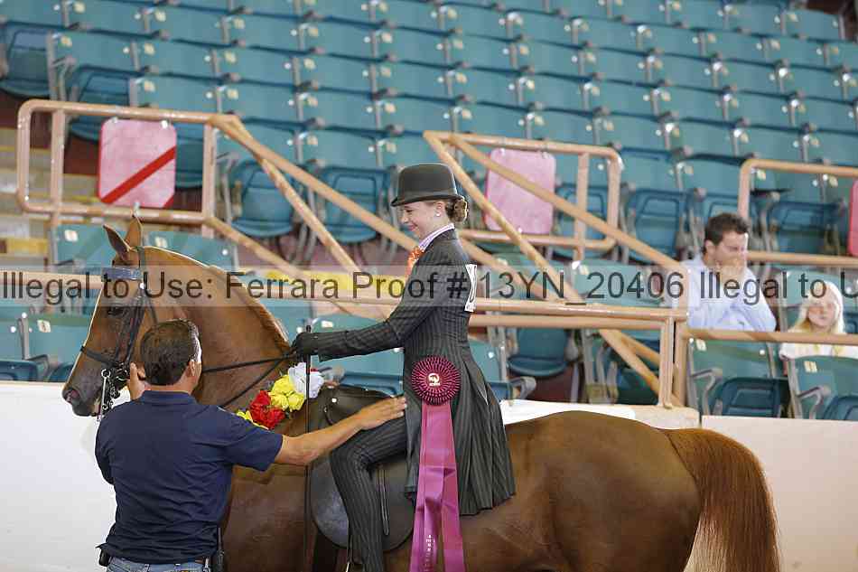 Proof 13yn_20406