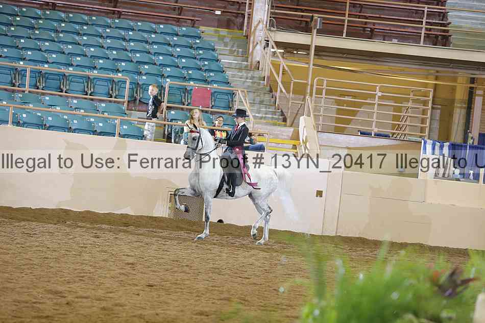 Proof 13yn_20417