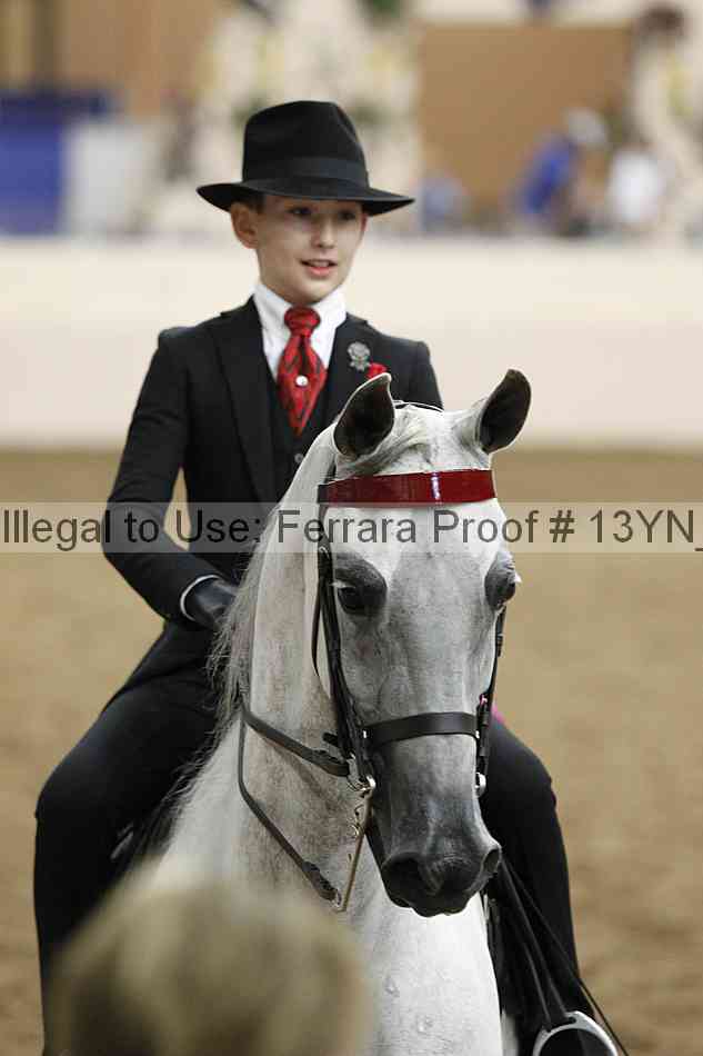Proof 13yn_20421