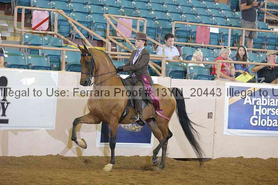 Proof 13yn_20443