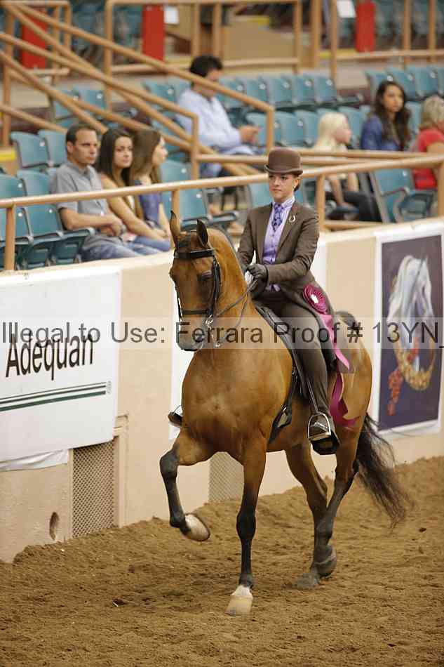 Proof 13yn_20447