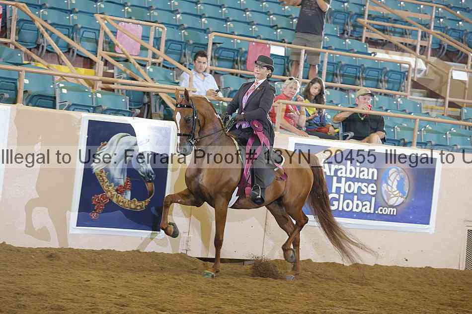 Proof 13yn_20455