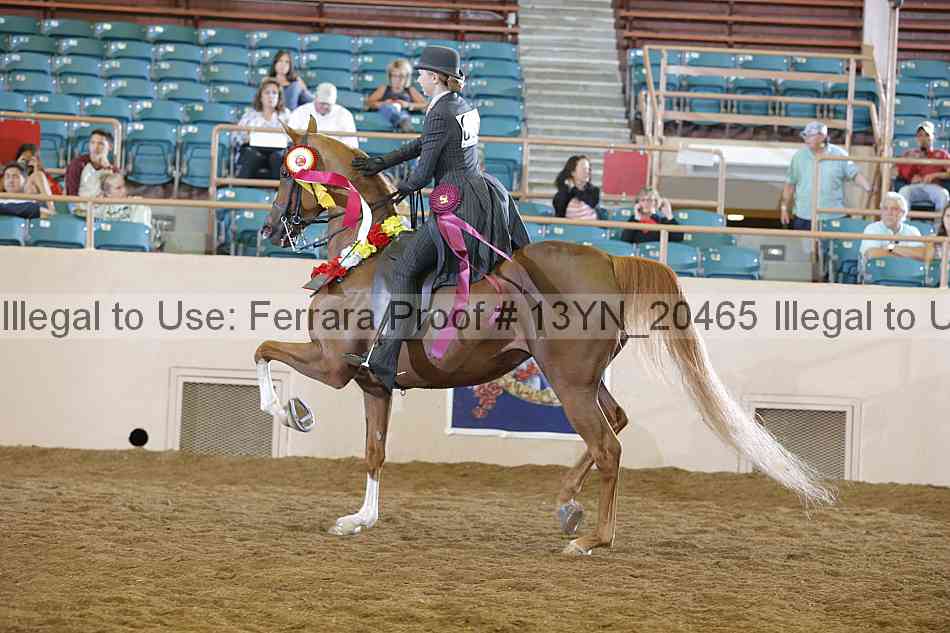 Proof 13yn_20465